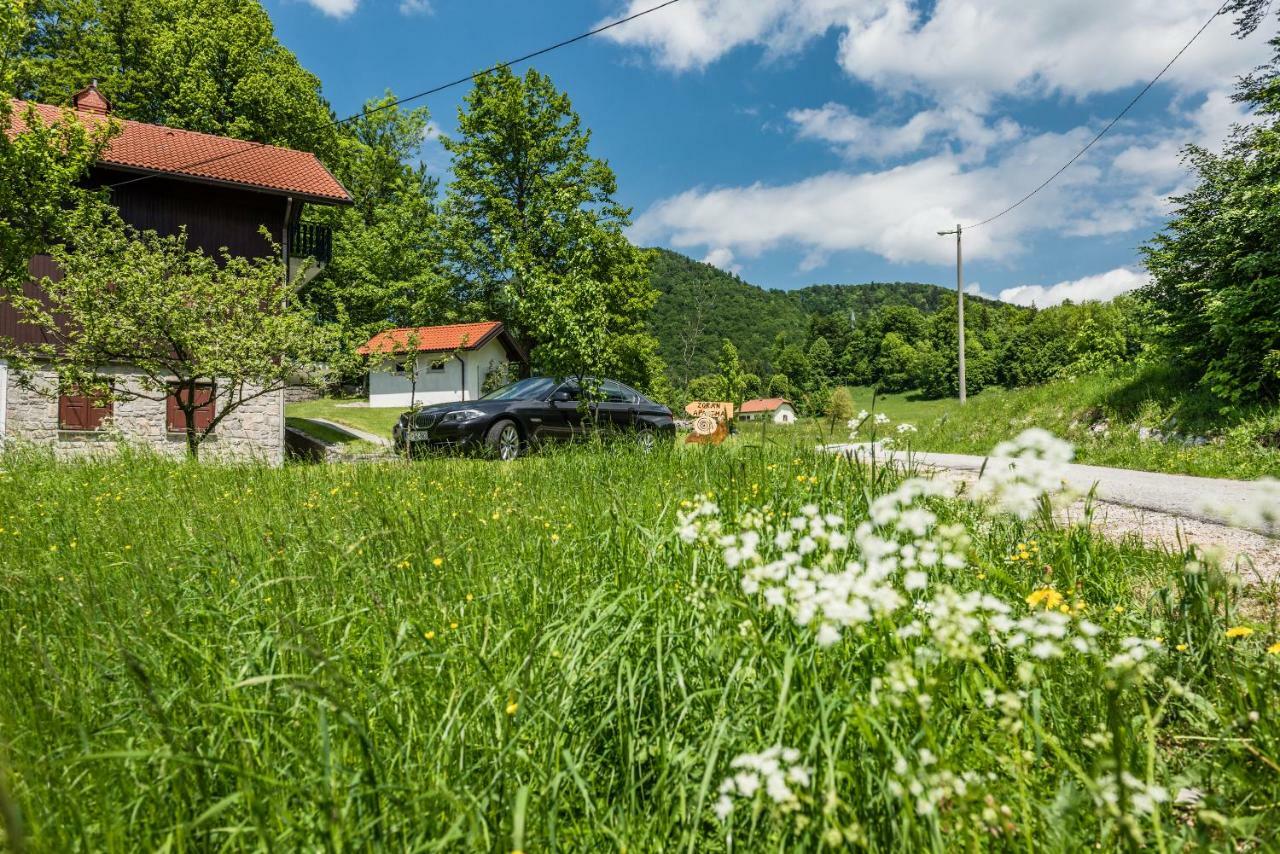 Apartma Zoran Apartamento Lokve Exterior foto